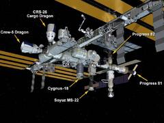 NASA Coolant Leak: சோயுஸ் விண்கலத்தில் ஏற்பட்ட கசிவு.. ரத்து செய்யப்பட்ட நாசாவின் விண்வெளி நடைபயணம்