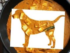 Viral Photo: इस रेस्तरां में मिल रहा है 'पनीर लैब्रॉडार', वायरल फोटो देख लोगों ने लिए मजे