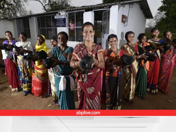 Kadaknath Poultry farming Scheme in Madhya Pradesh Provide 100 Chicks Shade and feed खुश हो जाएं....फ्री में मिलेंगे कड़कनाथ के 100 चूजे, पोल्ट्री शेड, बर्तन और दाना भी दे रही सरकार