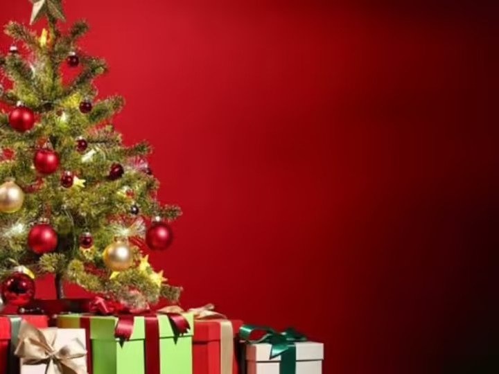 Christmas 2022: क्रिसमस ट्री खरीदने से पहले जान लें ये टिप्स और ट्रिक, कम पैसों में मिलेगा फ्रेश ट्री