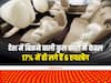 Car Airbags: सड़क परिवहन मंत्रालय ने जारी किया आंकड़ा, देश में बिकने वाली कुल कारों में से केवल 17% में ही लगे हैं 6 एयरबैग