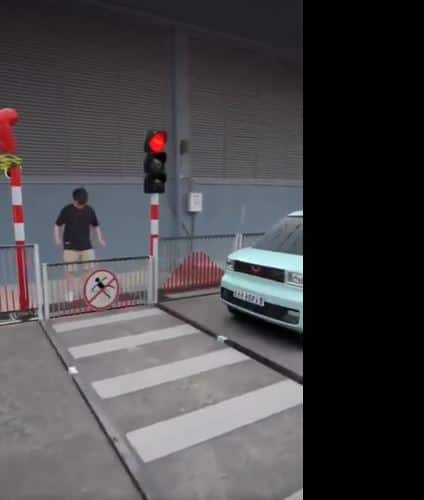 witter viral video man trying cross the signal Viral video : ટ્રાફિકના નિયમોનું પાલન કરવું આ વ્યક્તિને પડ્યું ભારે, થયા આવા હાલ, જુઓ વીડિયો