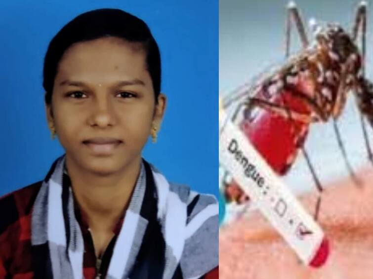 University student dies of dengue fever in Kokkilamedu fisherman area next to Mamallapuram செங்கல்பட்டில் சோகம்...! டெங்குவிற்கு மாணவி உயிரிழப்பு..!