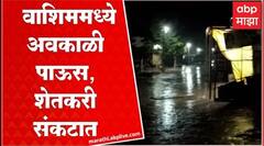 Washim Rain : वाशिम जिल्ह्यात अवकाळी पावसाची हजेरी, रब्बी पिकांना धोका