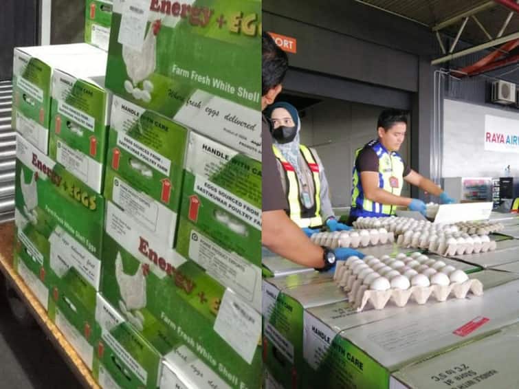 Malaysia Egg Shortage Namakkal Egs Exported to Malaysia for facing shortage of table eggs Namakkal Egg Export: மலேசியாவில் கடும் தட்டுப்பாடு.... கோரிக்கை விடுத்த அமைச்சர்! நாமக்கலில் இருந்து பறந்த முட்டைகள்!