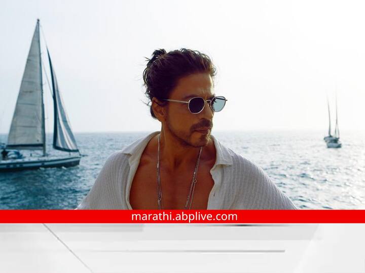 पठाण चित्रपटातील बेशरम रंग हे गाणं रिलीज झाल्यानंतर या गाण्यातील दीपिका पादुकोणच्या कपड्यांच्या रंगावरुन वाद निर्माण झाला.