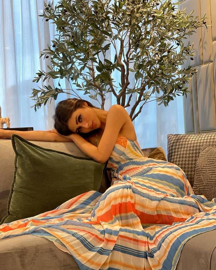 मौनी के घर का लिविंग रूम ना सिर्फ स्पेसियश है बल्कि ये बेहद अट्रैक्टिव तरीके से डिजाइन किया गया है.