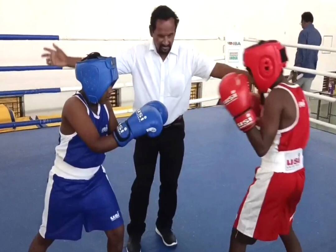 மயிலாடுதுறையில் குத்துச்சண்டை போட்டியில் பதக்கங்களை குவித்த நரிக்குறவர் சமூக மாணவர்கள்! District level boxing competition held in Mayiladuthurai TNN மயிலாடுதுறையில் குத்துச்சண்டை போட்டியில் பதக்கங்களை குவித்த நரிக்குறவர் சமூக மாணவர்கள்!