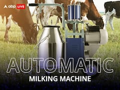 पशुपालन-डेयरी बिजनेस से लाखों कमाएं....आज ही खरीद लें ये ऑटोमेटिक मिल्किंग मशीन, पैसों की होगी बड़ी बचत
