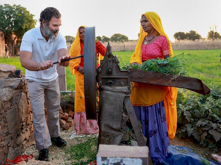 आजकल भारत जोड़ो यात्रा राजस्थान में है. राहुल गांधी ने यहां एक गांव में महिलाओं के साथ मशीन में चारा भी काटा. उनकी इस तस्वीर ने भी खूब सुर्खियां बंटोरी.