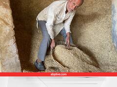 दूध के दाम क्यों बढ़ गए? पशु चारे की महंगाई में छिपा है इस सवाल का जवाब, कीमतों में 27% तक उछाल