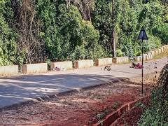 असम-मेघालय के विवादित सीमा क्षेत्र में टूटी मिली बाड़, दोनों राज्यों के अधिकारियों ने की बैठक