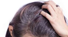 Hair Tips: નાની ઉંમરે વાળ થઈ રહ્યા છે સફેદ, તો અપનાવો આ આયુર્વેદિક નુસખો, સફેદ વાળ થશે કાળા