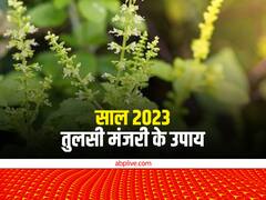 New Year 2023 Totke: नए साल में घर के इस स्थान पर रख दें तुलसी की मंजरी, सालभर हरी-भरी रहेगी जेब