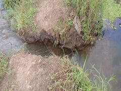 రామప్ప కాలువలతో రైతన్నలకు కష్టాలు - నీళ్లున్న చివరి ఆయకట్టుకు తప్పని కన్నీళ్లు