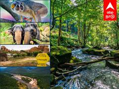 #1Tamilnadu : திமுக ஆட்சியில் சுற்றுச்சூழல் மேம்பாடு.. புது முயற்சிகளும், சாதனைகளும் என்னென்ன தெரியுமா?