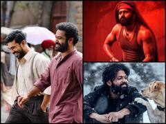 'कांतारा' से लेकर '777 चार्ली' तक ये हैं बेस्ट रीजनल फिल्म, साउथ की इन फिल्मों ने बॉलीवुड को धो डाला!