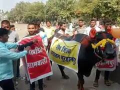 बुरहानपुर: कलेक्ट्रेट में भैंस के आगे बीन बजाकर जिला प्रशासन से लगाई न्याय की गुहार, जानें पूरा मामला