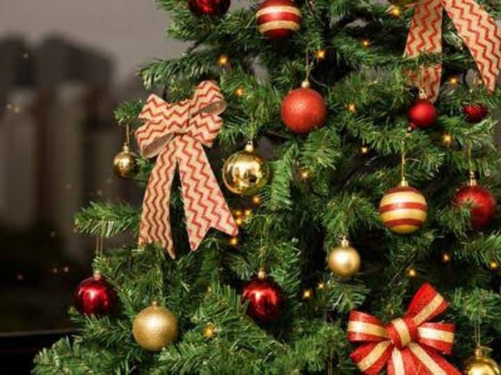 Christmas Tree Decoration: क्रिसमस के मौके पर अगर आप भी अपने घर पर क्रिसमस ट्री ले आए हैं लेकिन इसे डेकोरेट करना नहीं आ रहा. तो हम आपको दिखाते हैं कुछ ऐसी तस्वीरें जिससे इंस्पिरेशन ले सकते हैं.