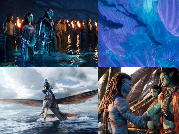 Avatar 2 Review in Tamil: ரசிகர்களை 13 ஆண்டுகளாக காக்க வைத்த அவதார் இரண்டாம் பாகத்தின் திரை விமர்சனத்தை புகைப்படங்களின் வாயிலாக பார்க்கலாம் வாங்க.