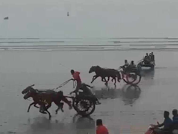 Thrill of bullock cart race Bailgada sharyat at Gorai Chowpatty in Mumbai police have no clue case was registered after video viral मुंबईत गोराई चौपाटीवर बैलगाडा शर्यतीचा थरार; पोलिसांना मात्र सुगावाच नाही, व्हिडीओ व्हायरल झाल्यानंतर गुन्हा दाखल