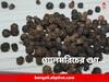 Black Pepper Benefits: সর্দি-কাশিতে নাজেহাল! কীভাবে মিলবে সুরাহা?