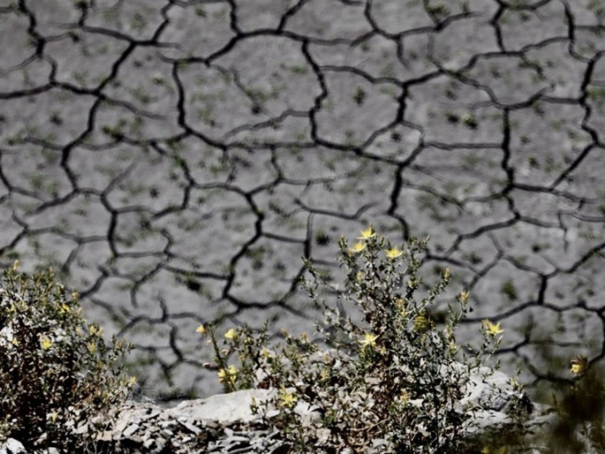 Unprecedented Drought: Emergency Declared For All Of Southern California In US