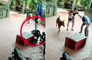 Viral Video: ਅਜਗਰ ਨੇ ਵਿਅਕਤੀ 'ਤੇ ਹਮਲਾ ਕਰਕੇ ਉਸ ਦਾ ਪੂਰਾ ਚਿਹਰਾ ਚਬਾ ਦਿੱਤਾ, ਹੈਰਾਨ ਕਰ ਦੇਣ ਵਾਲਾ ਵੀਡੀਓ ਵਾਇਰਲ