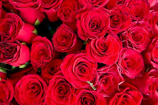 पुढच्या तीन दिवसांनतर म्हणजे सोमवारपासून (19 डिसेंबरपासून) महाराष्ट्रासह गुजरातमध्ये थंडीचा कडाका वाढण्याची शक्यता आहे.