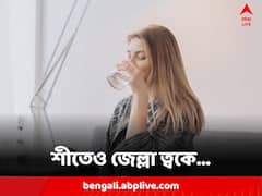 মেনে চলুন অল্প কিছু টিপস, শীতেও ত্বক থাকবে জেল্লাদার