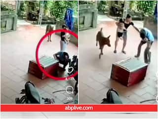 अजगर ने आदमी पर हमला करके पूरा चेहरा चबा डाला, रोंगटे खड़े कर देने वाला Video वायरल