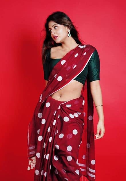 टिक टॉकवर बंदी घातल्यानंतर तिने स्वतःचे यूट्यूब चॅनल देखील बनवले आणि ती एक प्रसिद्ध यूट्यूबर बनली .