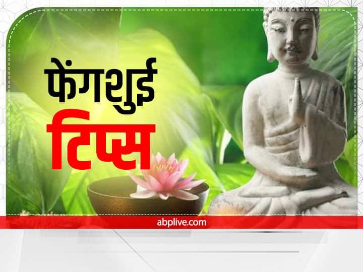 नए साल को खुशहाल बनाने के लिए फेंगशुई के कुछ उपाय बहुत अच्छे माने जाते हैं. फेंगशुई में भी पेड़-पौधों का खास महत्व होता है. इसके अनुसार कुछ पेड़-पौधे घर की ऊर्जा को सकारात्मक बनाते हैं. इनके प्रभाव घर के सदस्यों पर पड़ता है.