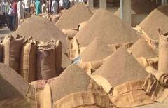 Rajkot: જીરુ પકવતા ખેડૂતોમાં આનંદો.. જાણો યાર્ડમાં કેટલા મળ્યા ભાવ?