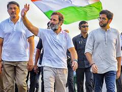 In Pics: तस्वीरों के जरिए देखें, 100 दिनों में कांग्रेस की भारत जोड़ो यात्रा में किन हस्तियों ने लिया हिस्सा