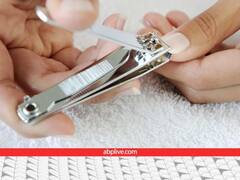 नाखून काटने पर नहीं होता है दर्द! आखिर ये बने किस चीज के हैं?