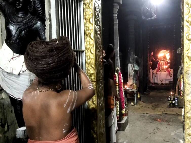 Margazhi month worship in various temples of Mayiladuthurai TNN மயிலாடுதுறை மாயூரநாதர் கோயிலில் தருமபுரம் ஆதீனம் தனுர் மாத வழிபாடு
