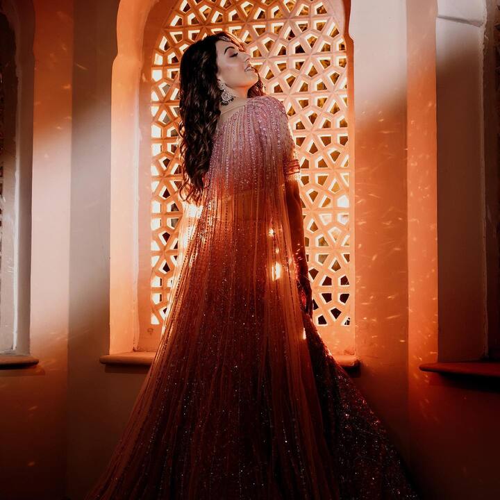 తాజాగా తన భర్త, కుటుంబ సభ్యులతో కలిసి తీసుకున్న ఫోటోలను నెట్టింట్లోకి వదిలింది. Photo Credit: Hansika Motwani/Instagram