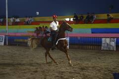 Chetak Festival : चेतक फेस्टिवलमधील अश्व क्रीडा स्पर्धांचा थरार...डोळ्यांचं पारणे फेडणाऱ्या कसरती