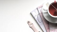 Travel Care: শীতে ঘুরতে যাবার প্ল্যান ? কী কী খেয়ালে রাখবেন ?