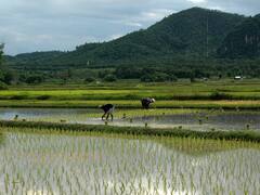 Foodgrains stock: இந்தியாவின் தேவையை பூர்த்தி செய்யுமளவுக்கு  உணவு தானியம் கையிருப்பில் உள்ளது - மத்திய அரசு