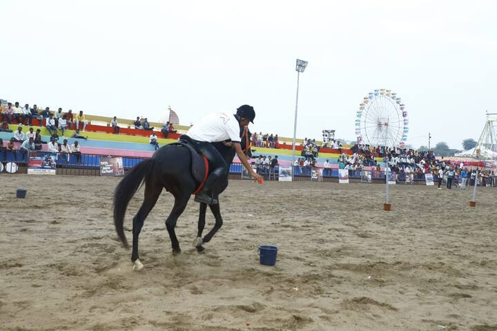 Chetak Festival : चेतक फेस्टिवलमधील अश्व क्रीडा स्पर्धांचा थरार...डोळ्यांचं पारणे फेडणाऱ्या कसरती