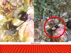 Patna News: देख लीजिए मुख्यमंत्री जी! बिहार सरकार के अतिथिशाला परिसर में मिली शराब की बोतल, थोड़ी ही दूरी पर है CM आवास