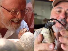 Watch Video: ஜூராசிக் பார்க் பட பாணியில் உலகை எட்டிப் பார்த்த ’பிளாக் டிராகன்’!