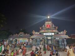 கரூர்: மார்கழி மாதத்தை முன்னிட்டு ஸ்ரீ கற்பக விநாயகர் ஆலயத்தில் சிறப்பு அபிஷேகம் - பக்தர்கள் பங்கேற்பு