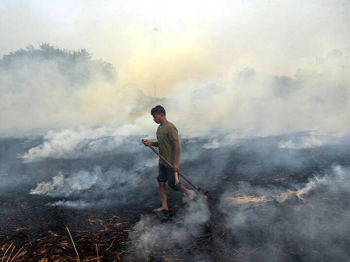 जम्मू-कश्मीर में प्रदूषण से 10 हजार मौतें; घाटी कैसे बनी गैस चैंबर?