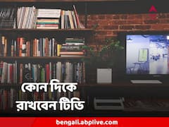 বাড়ির কোন কোণে টিভি রাখলে সমৃদ্ধি আসন্ন? কোথায় রাখলে দাম্পত্যে অশান্তি?