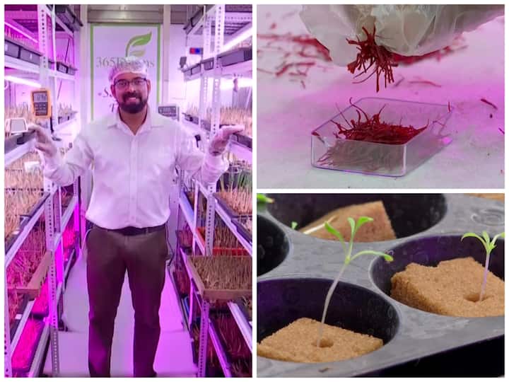 Sailesh Modak, a software engineer turned enthusiast farmer from Pune city, earns lakhs from growing Kashmir saffron in a shipping container.