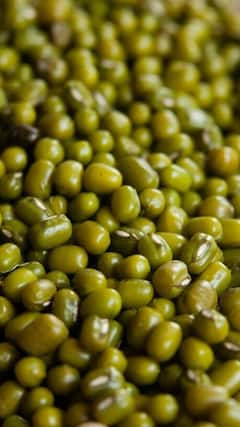 Moong Dal : हिवाळ्यात जास्त मूग डाळीचे सेवन करताय? एकदा तोटेही जाणून घ्या.