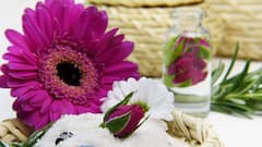 Bathroom Care: বাথরুমে দুর্গন্ধ ? জীবাণুমুক্ত রেখে কীভাবে সাজাবেন ? রইল খুঁটিনাটি